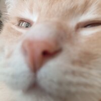 Алексей Семëнов