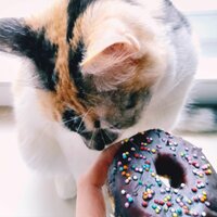 Вельможная Анна