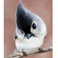 Оксана Юрьева