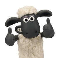 Антон Васин