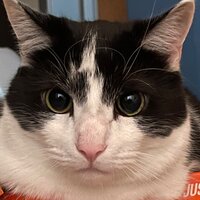 Алексей Кривенков