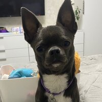 Людмила Кирюхина