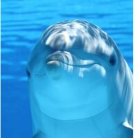 Андрей Виноградов