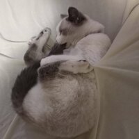 Владислав Сеткарев