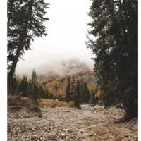 Герман Анфалов