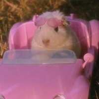 Александра Белова