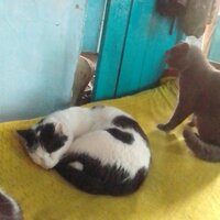 Надежда Осипова