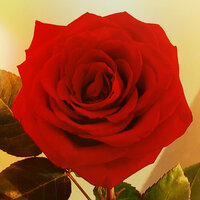 Татьяна Здорнова