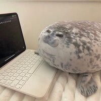 Владислав Савин