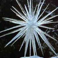 Алексей Сергеев