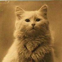 Александр Рябченко