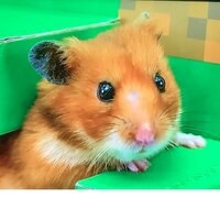 Маргарита И.