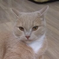 Денис Ягофаров