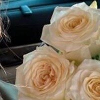 Елена Яртовна