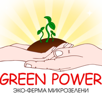 Алена Алифанова
