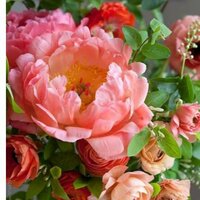 Светлана Кудряшова