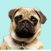 Ефим Акользин