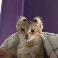 Елизавета Потамошнева