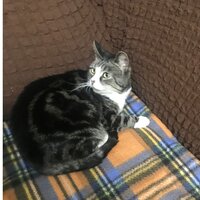 Лера Якименко