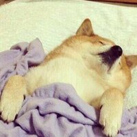 Александр Соколов