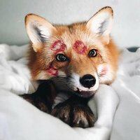 Татьяна Омельченко