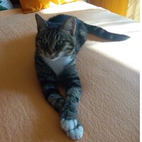 Сергей Феоктистов