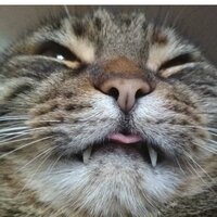 Егор Голгожинский