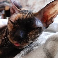 Анатолий Б.