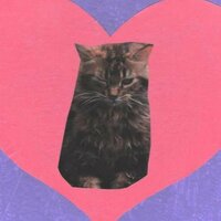 виктория серова