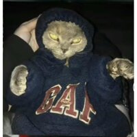 Богдан Васильев