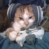 Ксения Форстман