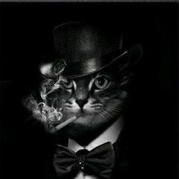 Гульназ Гирфанова