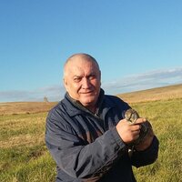 Раиль Голяков