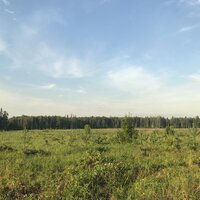 Полина Федюк