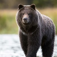 Имя на Яндексе