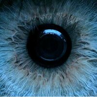 Тимофей Гриняев