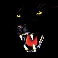 Роман Маторжон