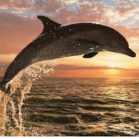 Евгений Комардин