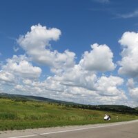 Елена Новикова