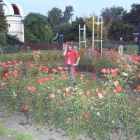 Надежда Батова