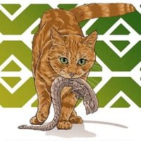 Владимир М.