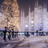 Вероника Матвеева