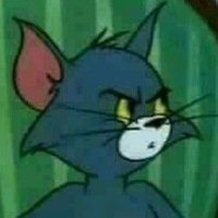 Даша Берестнева