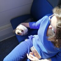 Алёна Никитина