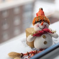 Ирина Шелковая