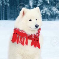 Соня Домашенко