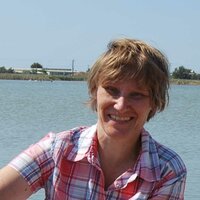 Елена Бочарова