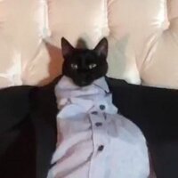 Дмитрий Ташмухамедов