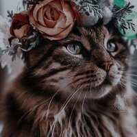 Анастасия Н.