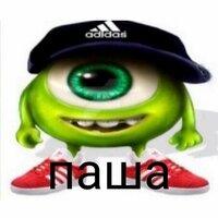 Шадская Екатерина Юрьевна